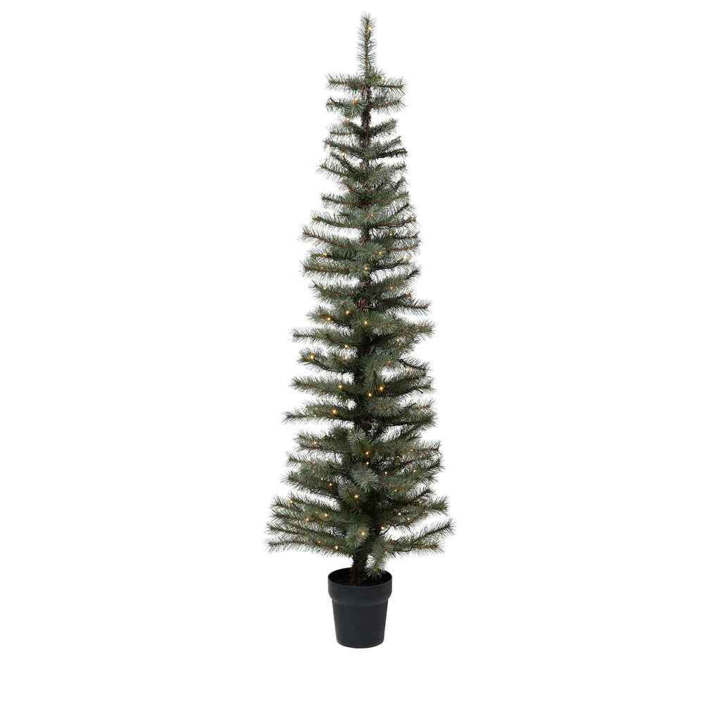 Merry Tannenbaum mit LED-Licht